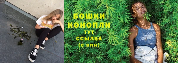 прущая мука Болотное