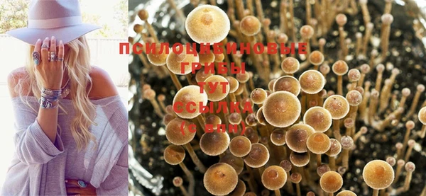 МДМА Алзамай
