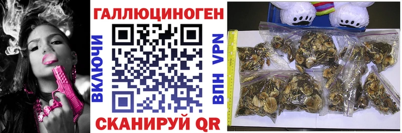 Галлюциногенные грибы Cubensis  Хадыженск 